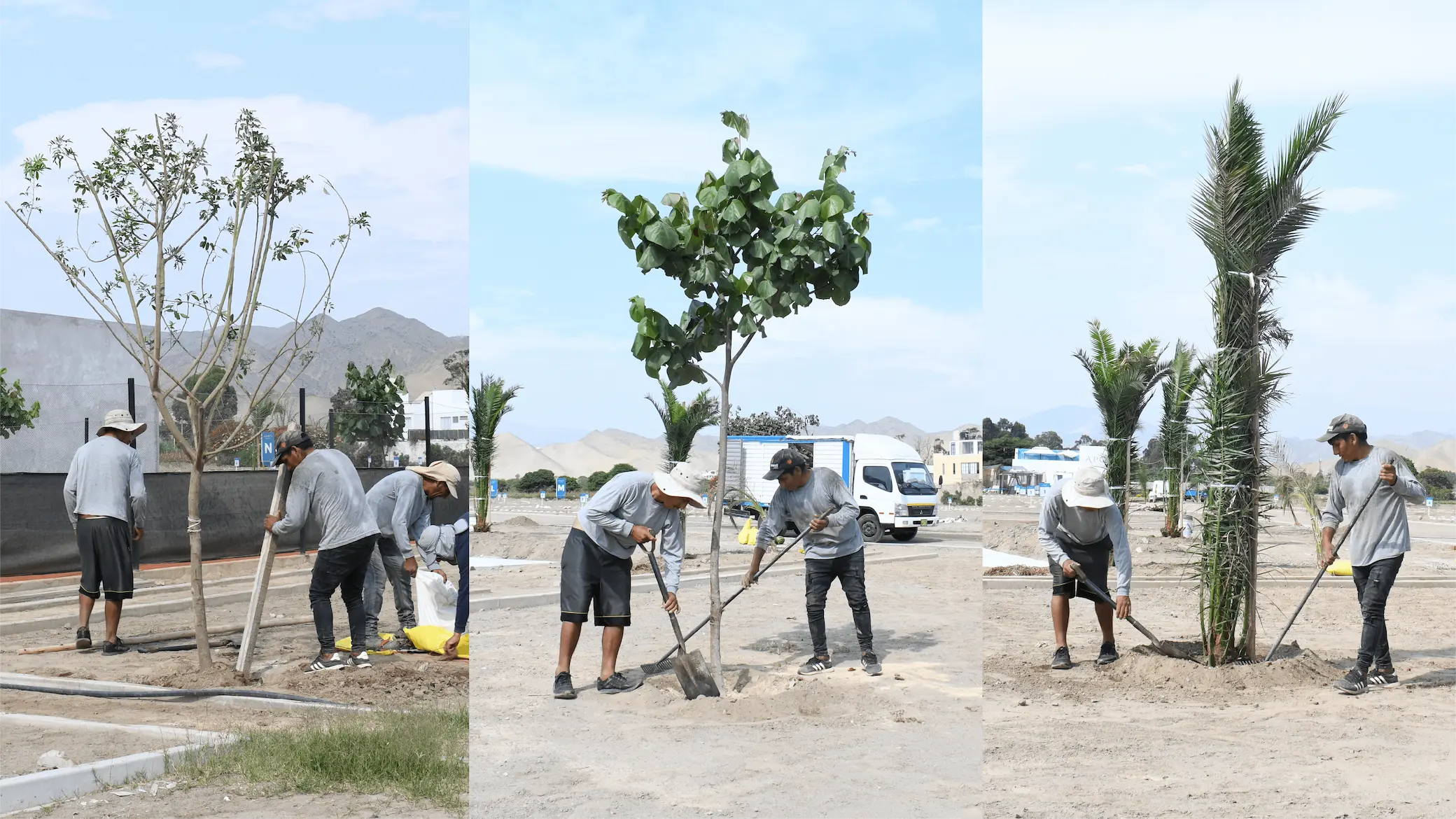 Imagen de avance de Áreas Verdes en el Condominio Apolo